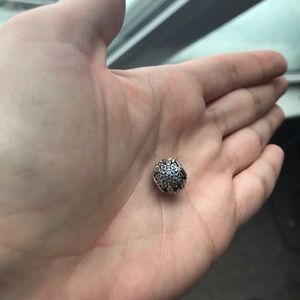 Pandora snowflake charm